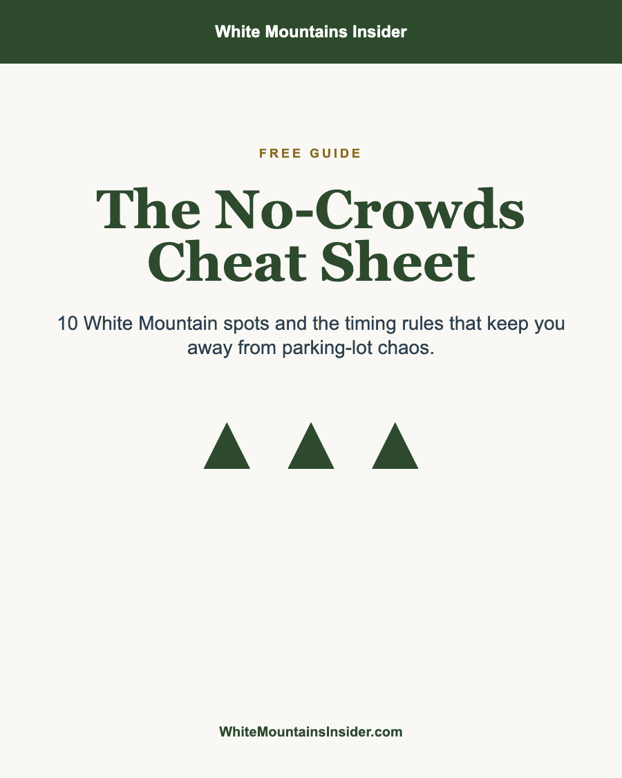 The No-Crowds Cheat Sheet cover