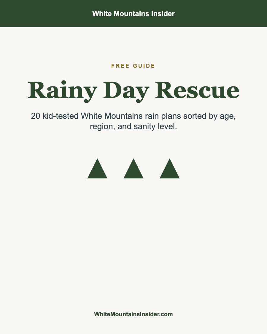 Rainy Day Rescue cover