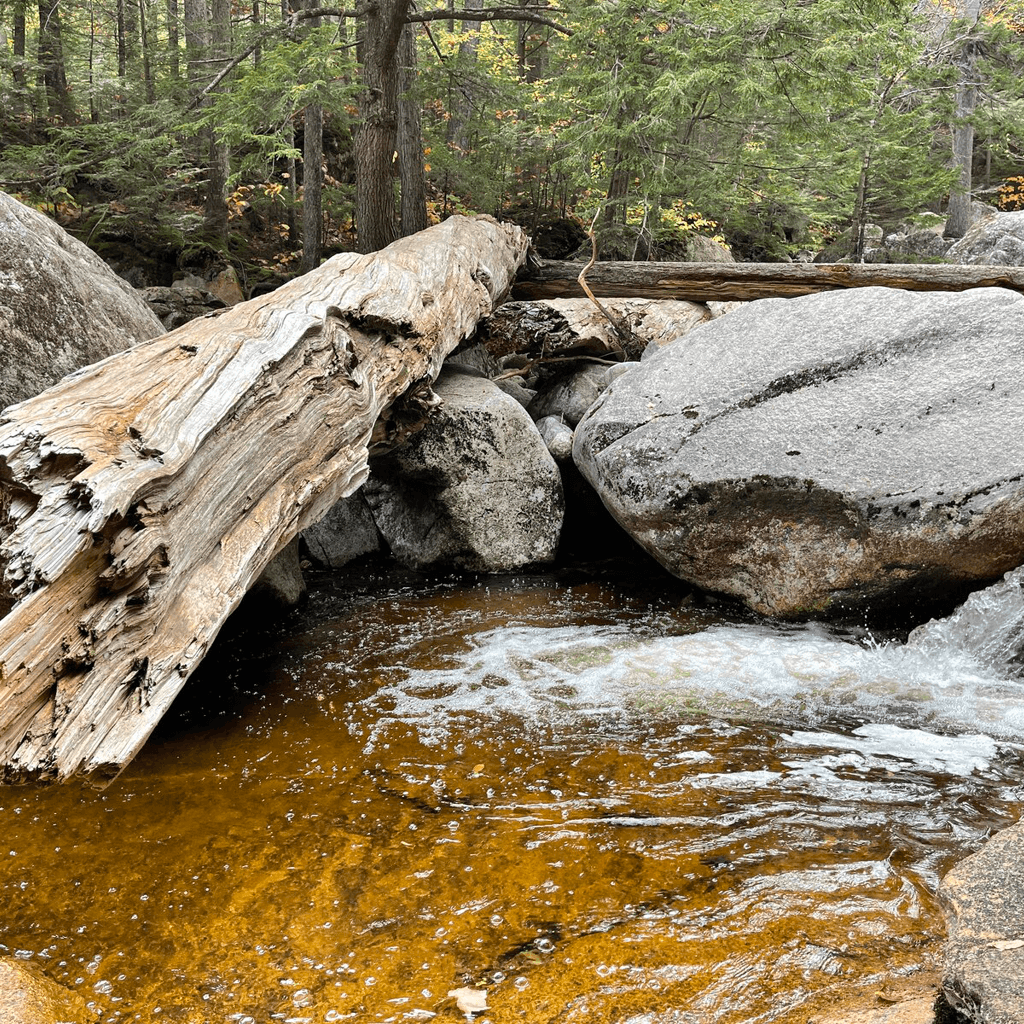 Tent pitched by a mountain lake under evening sky