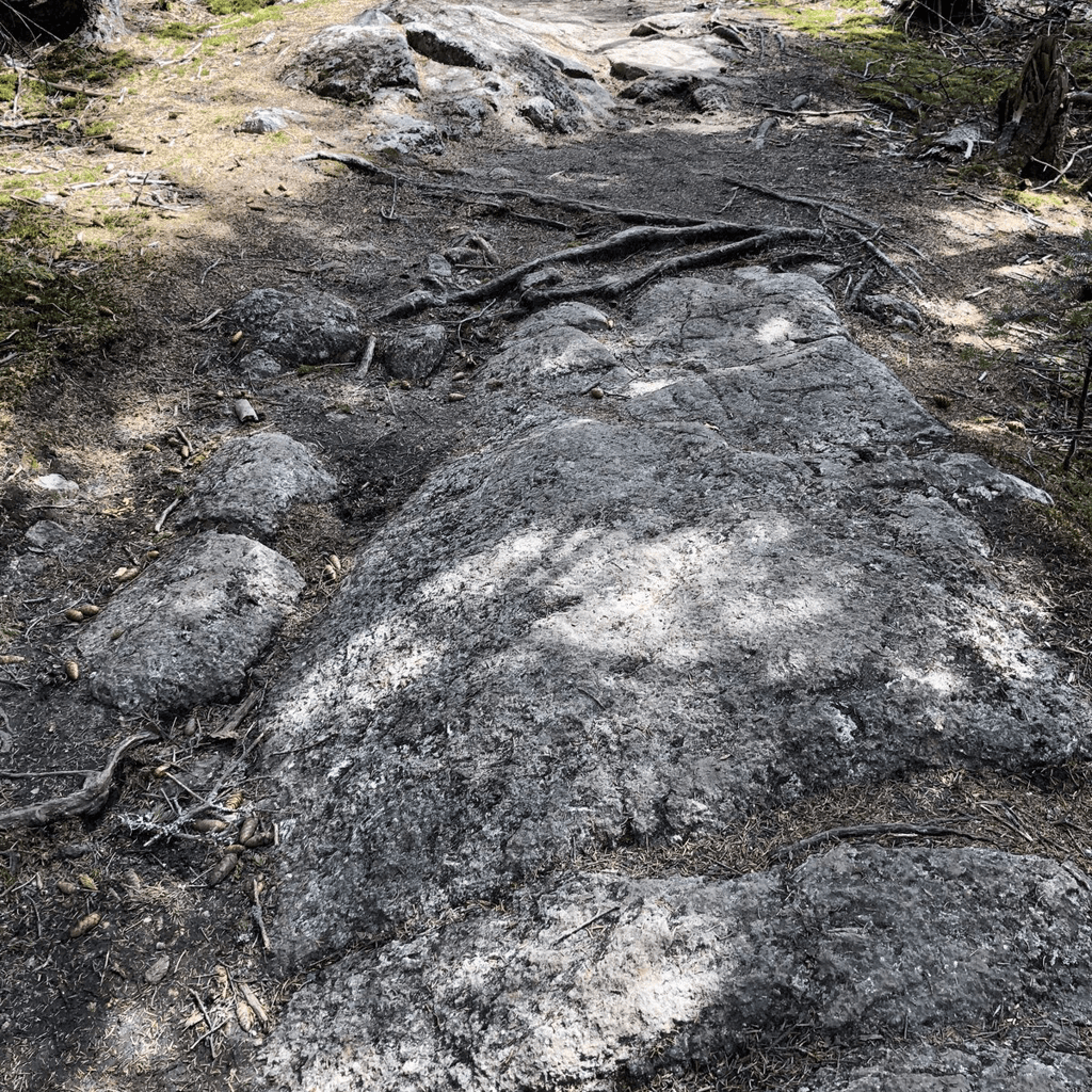 Hikers on a trail in Franconia Notch State Park, New Hampshire
