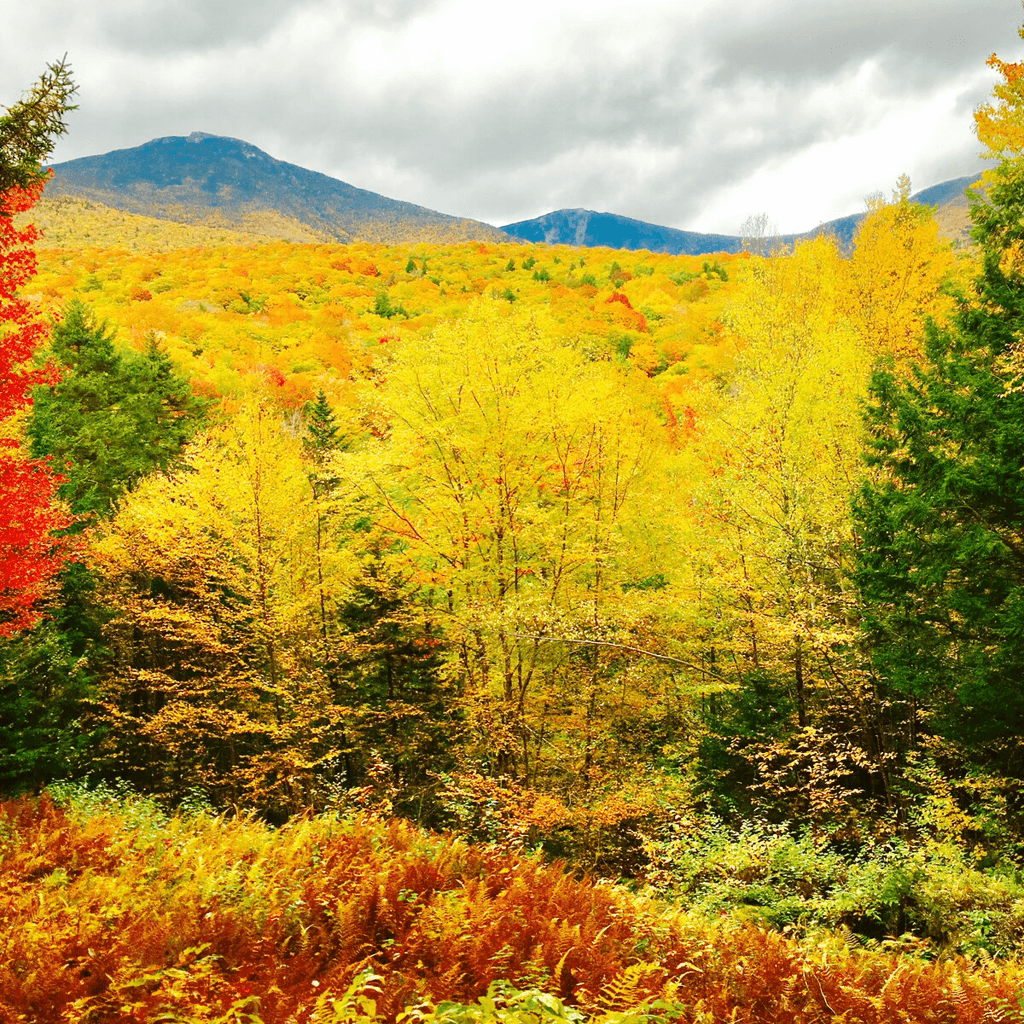 Scenic fall drive through the White Mountains