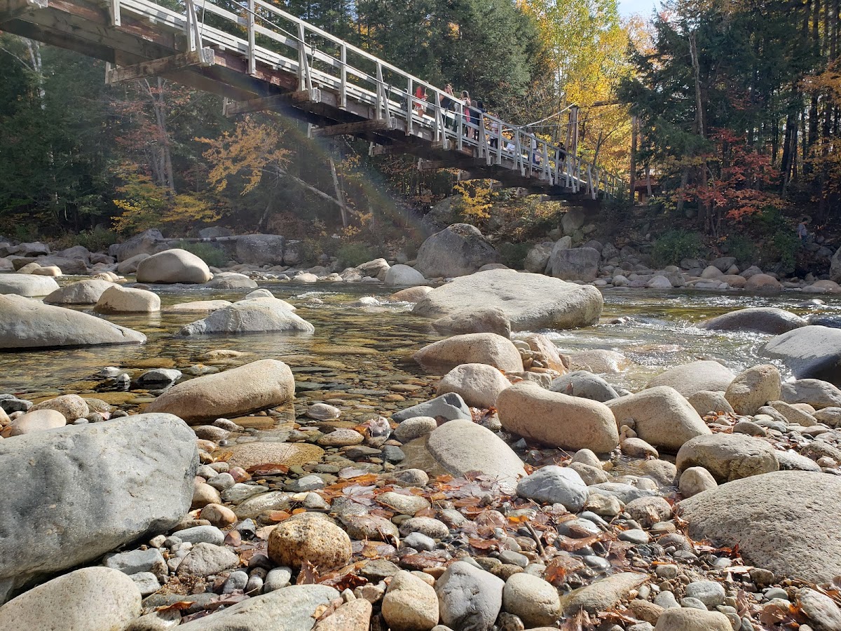 Photo of Lincoln Woods