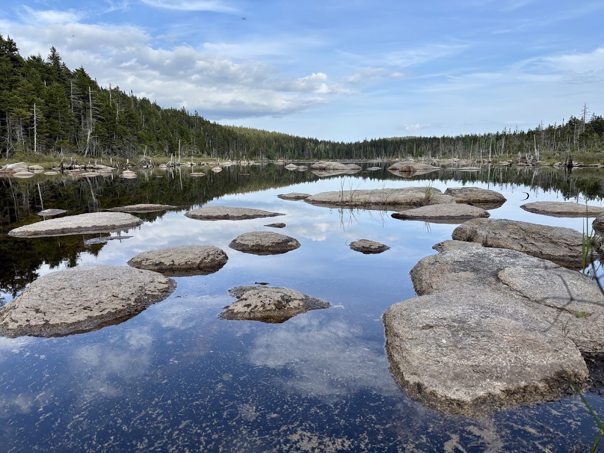 Photo of Norcross Pond Outlet